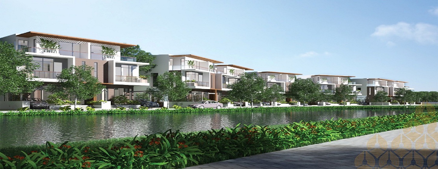 PHU HUU PROJECT